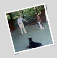 Northern New Jersey Dog Training Facility, Cedar Grove